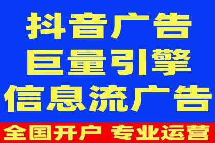 网络推广与竞价广告：双管齐下的策略案例