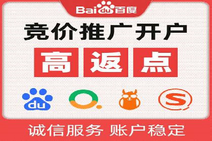 SEM广告投放的竞价策略与效果评估案例